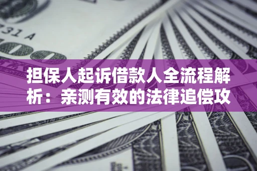 北京担保人起诉借款人全流程解析：亲测有效的法律追偿攻略