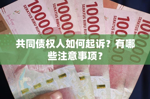 北京共同债权人如何起诉？有哪些注意事项？